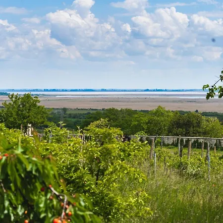 Kofejto Haza Holiday home *